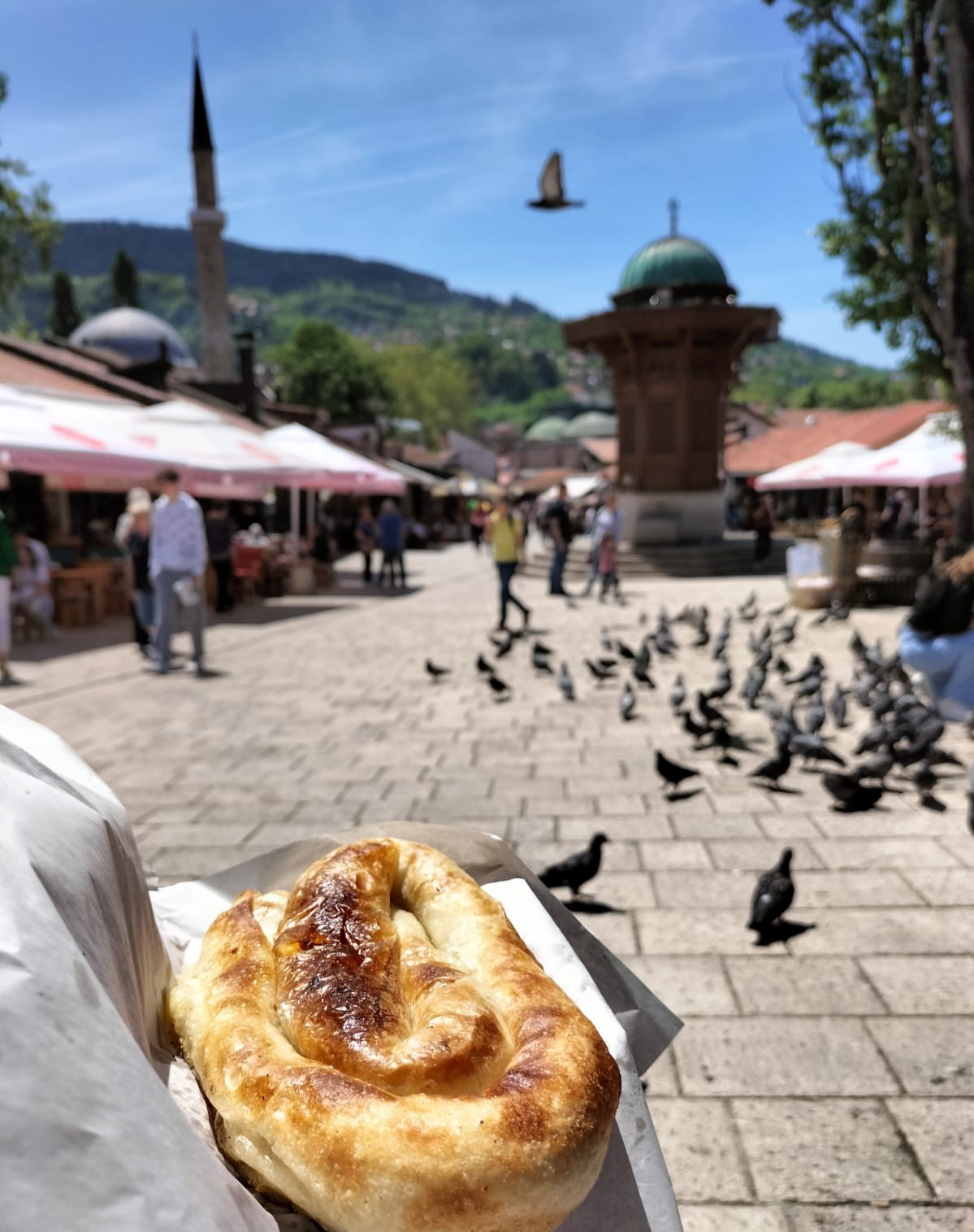 potato burek with pigeons in the background