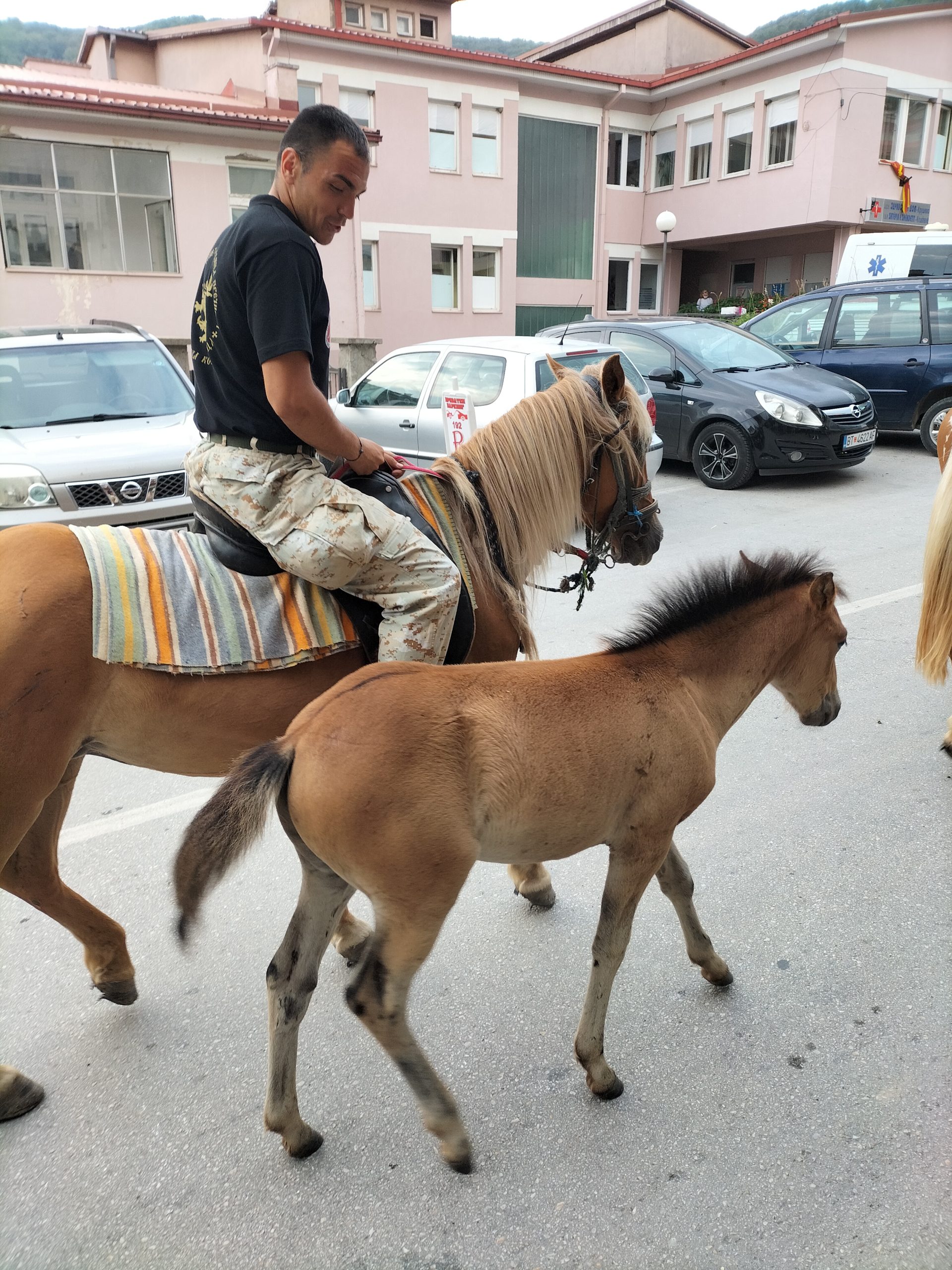Horses of the Republic Day Parade, Krusevo