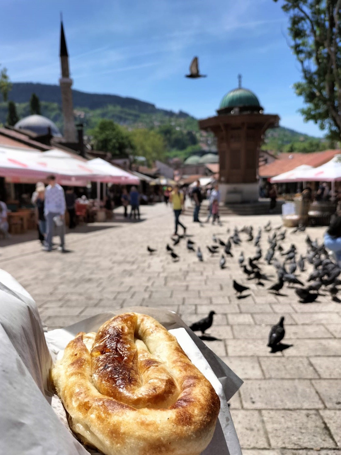 potato burek with pigeons in the background