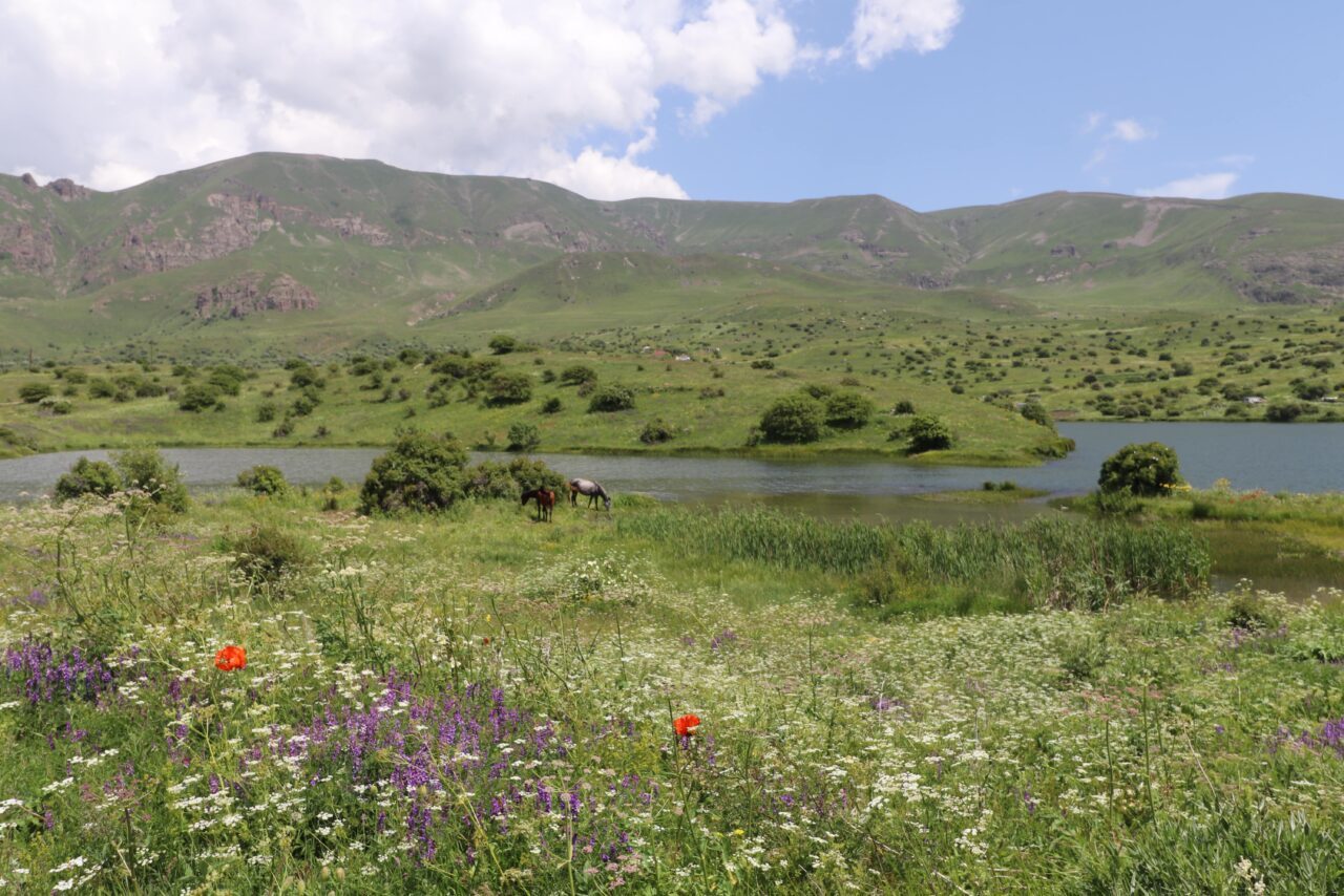 Albania Travel Guide Relentless Roaming albania-travel-guide-relentless-roaming