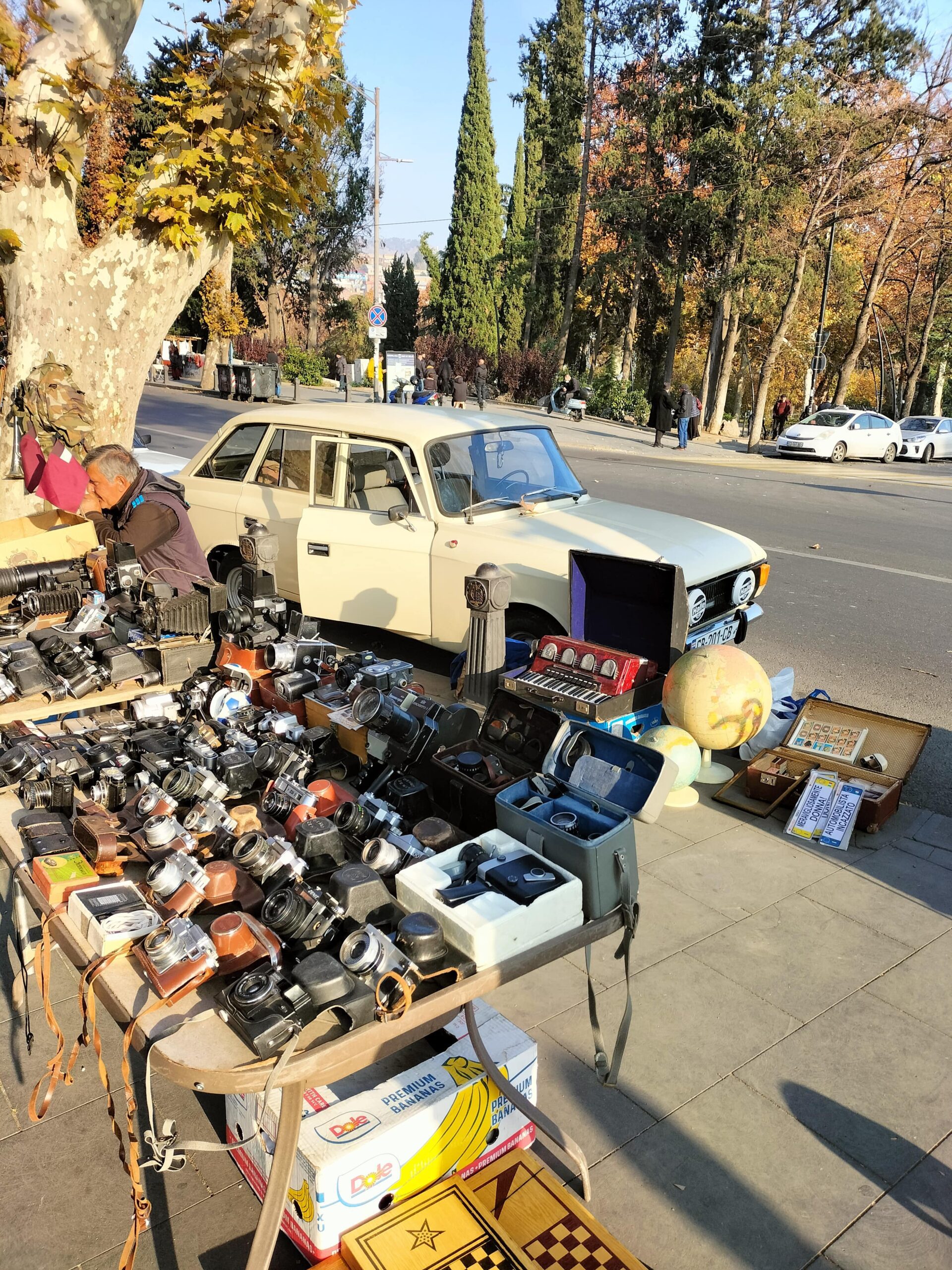 retro cameras at dry bridge market in tbilisi