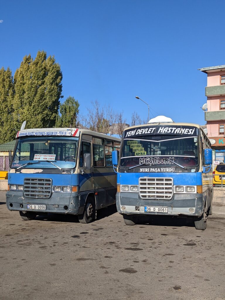 turkish buses