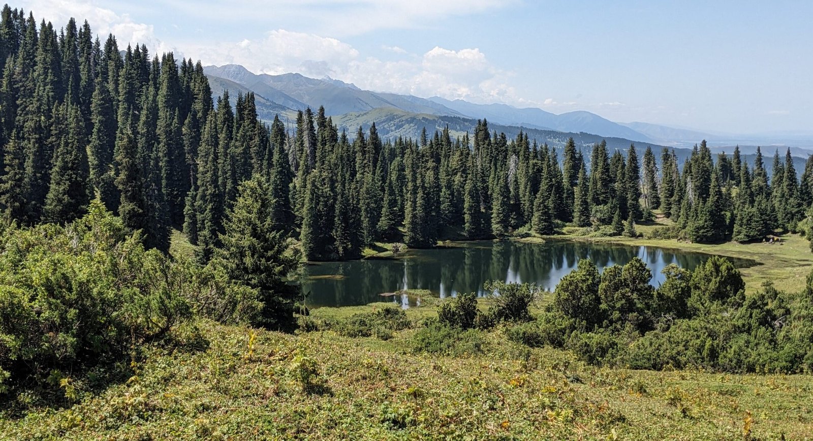 green mountains, tall forest and fields with a small lake in Jyrgalan, Kyrgyzstan