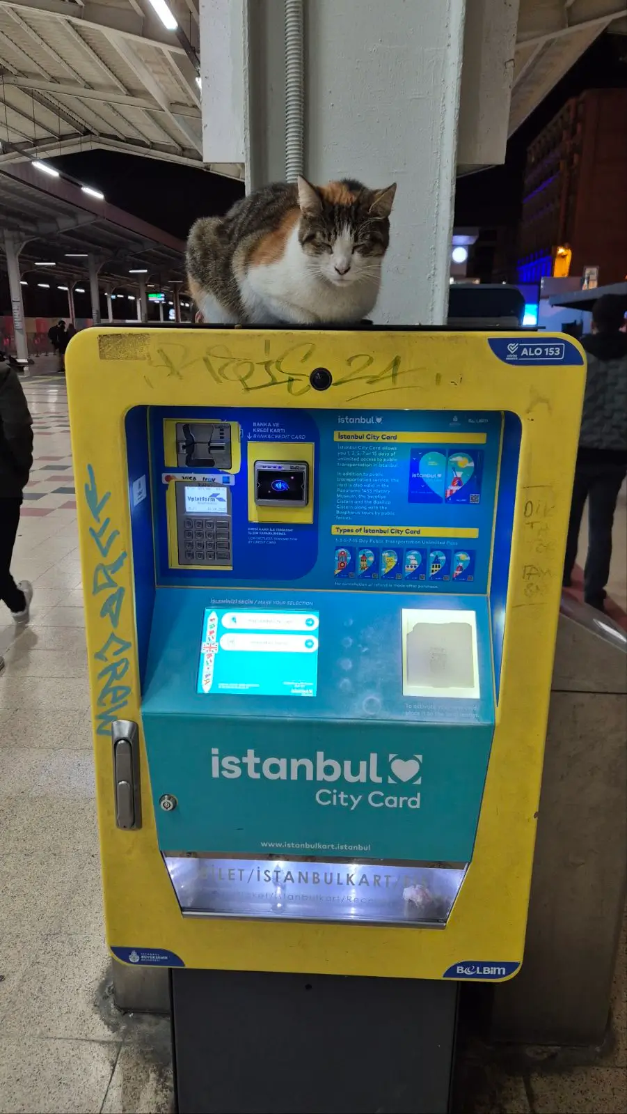 a yellow and blue machine has graffiti on it and a cat sat on the top. The machine dispenses Istanbulkart (Istanbul transport card)