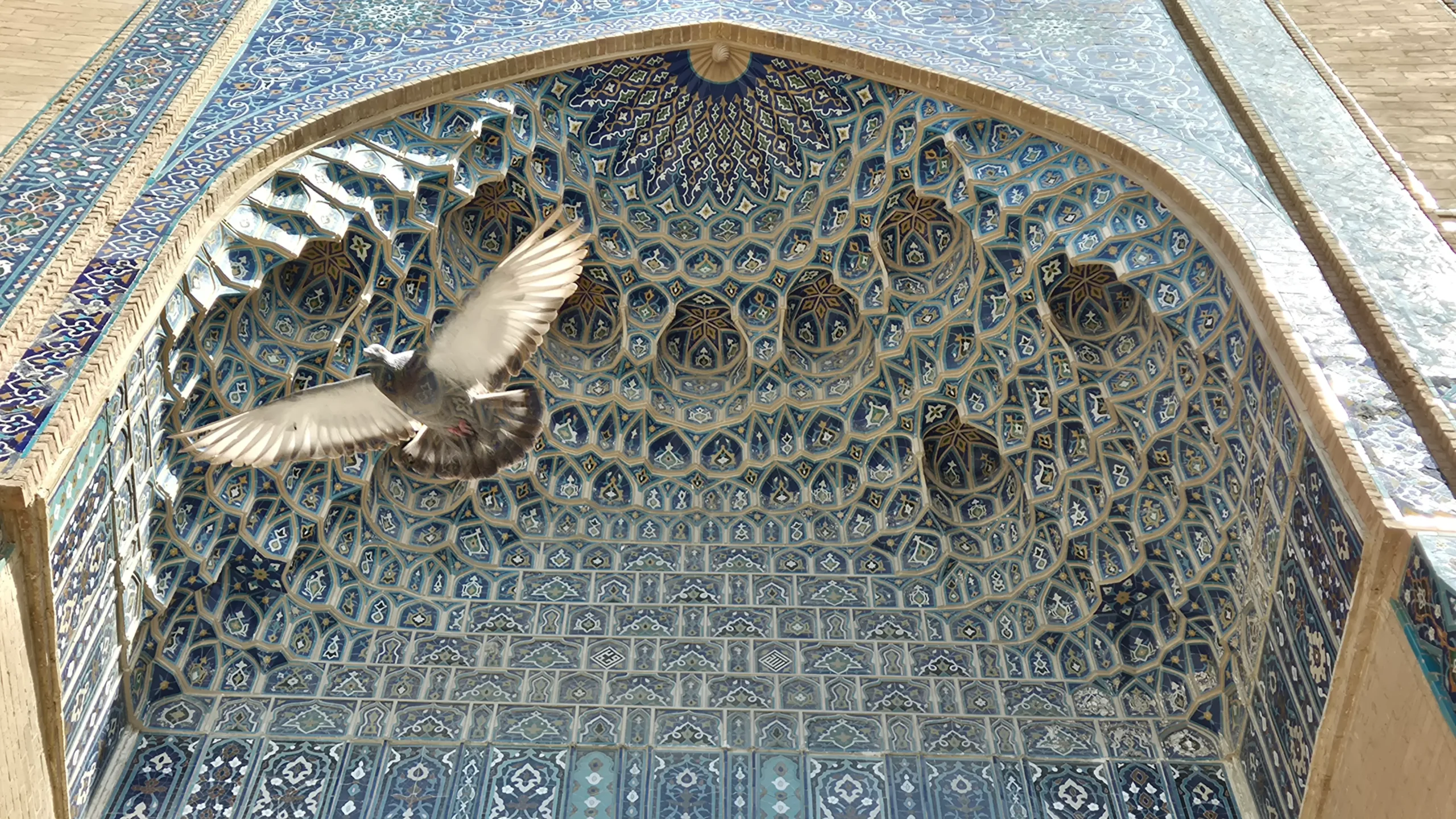 Pigeon photobomb at Gur-e-Amir, Samarkand a close-up of a decorated archway has individual blue tiles in a Timurid style. A pigeon photobombs the photo as it swoops down, wings outstretched at Gur-e-Amir Mausoleum, Samarkand, Uzbekistan