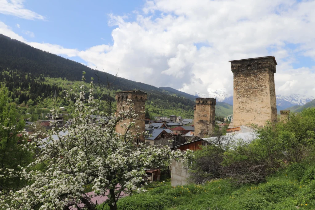 Mestia, Georgia Svan medieval watchtowers in Mestia, Georgia, are surrounded by trees and mountains covered in white blossom