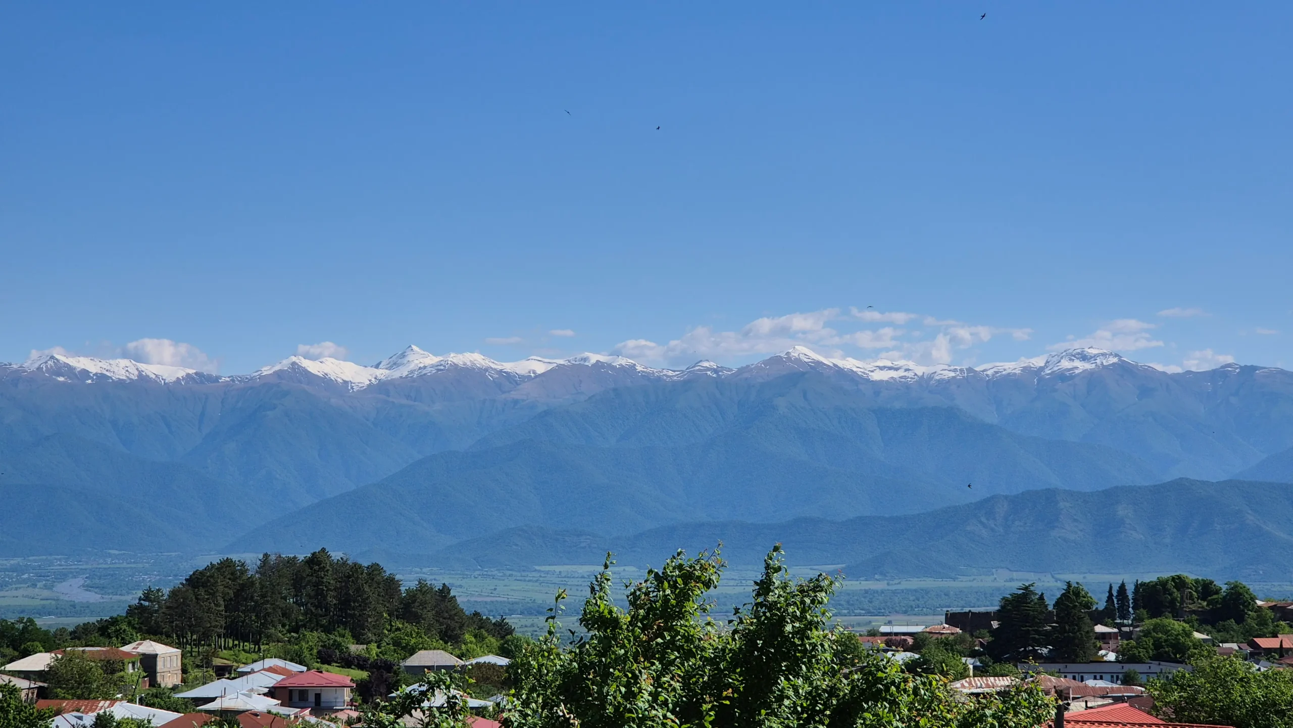 Telavi mountain views views of snow-capped Caucasus mountain range from Telavi, Georgia