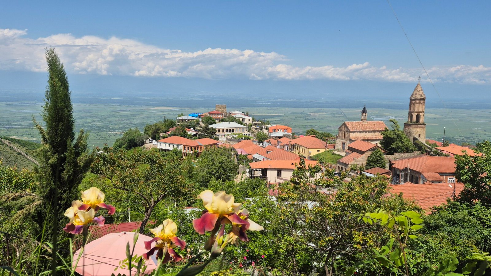 Telavi or Sighnaghi: Which Kakheti Gem is Right for You? 1 20250524 140343 scaled