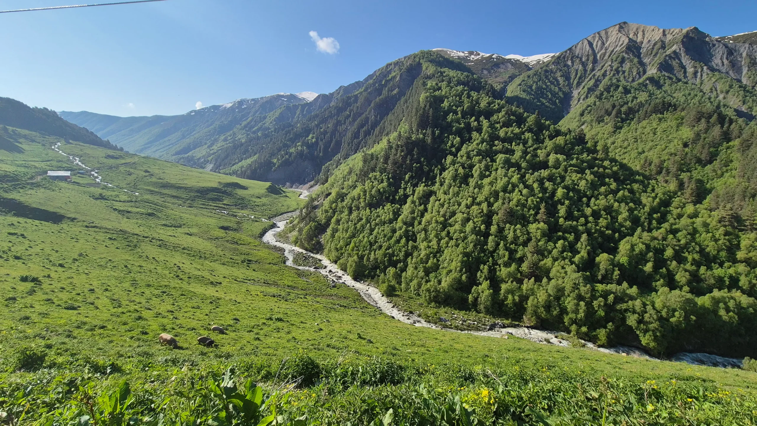 Valley view just beyond Adishi a green valley with a meandering river running through in Adishi, Georgia