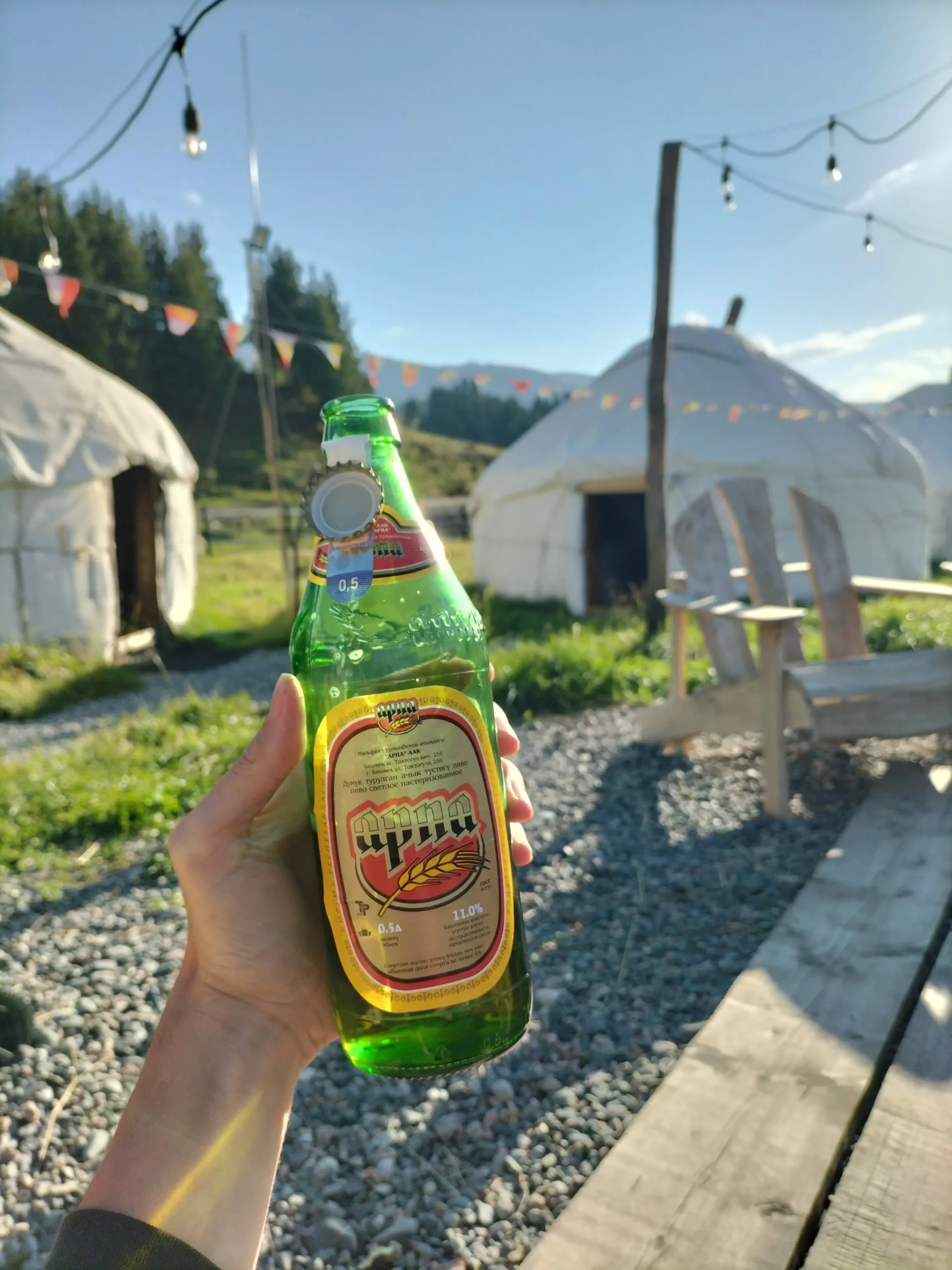 a green glass beer bottle of local Kyrgyz beer named Arpa is photographed in front of traditional Kyrgyz yurts