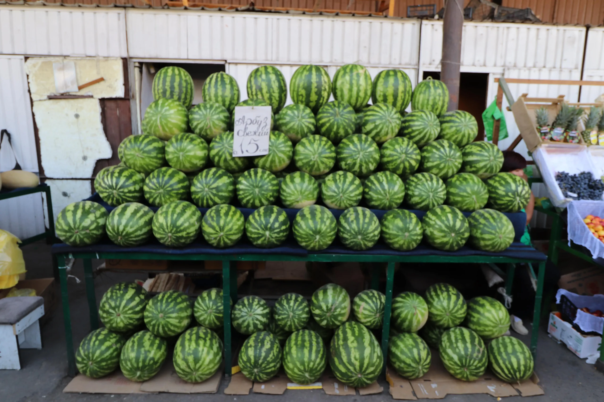 giant watermelons a market stall stacked high with huge watermelons in Osh Bazaar, Bishkek, Kyrgyzstan