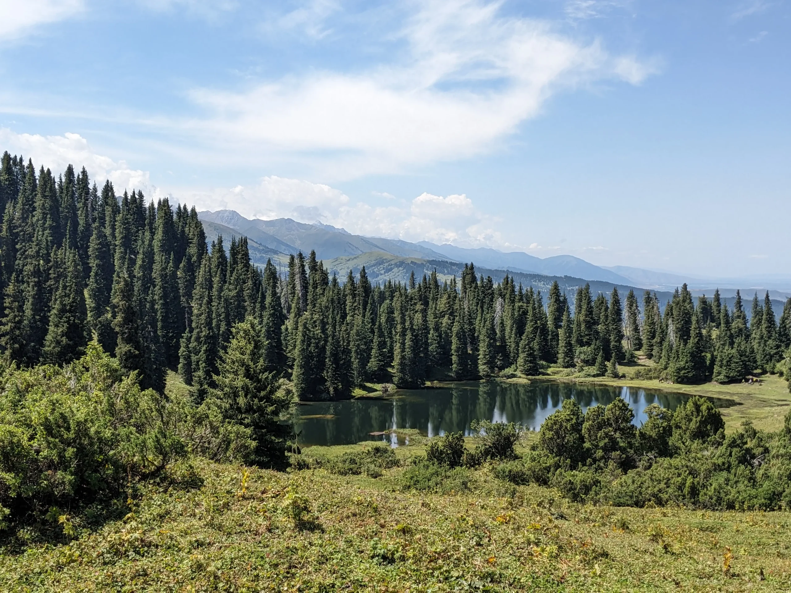 tall green trees surround a still lake in Jyrgalan, Kyrgyzstan