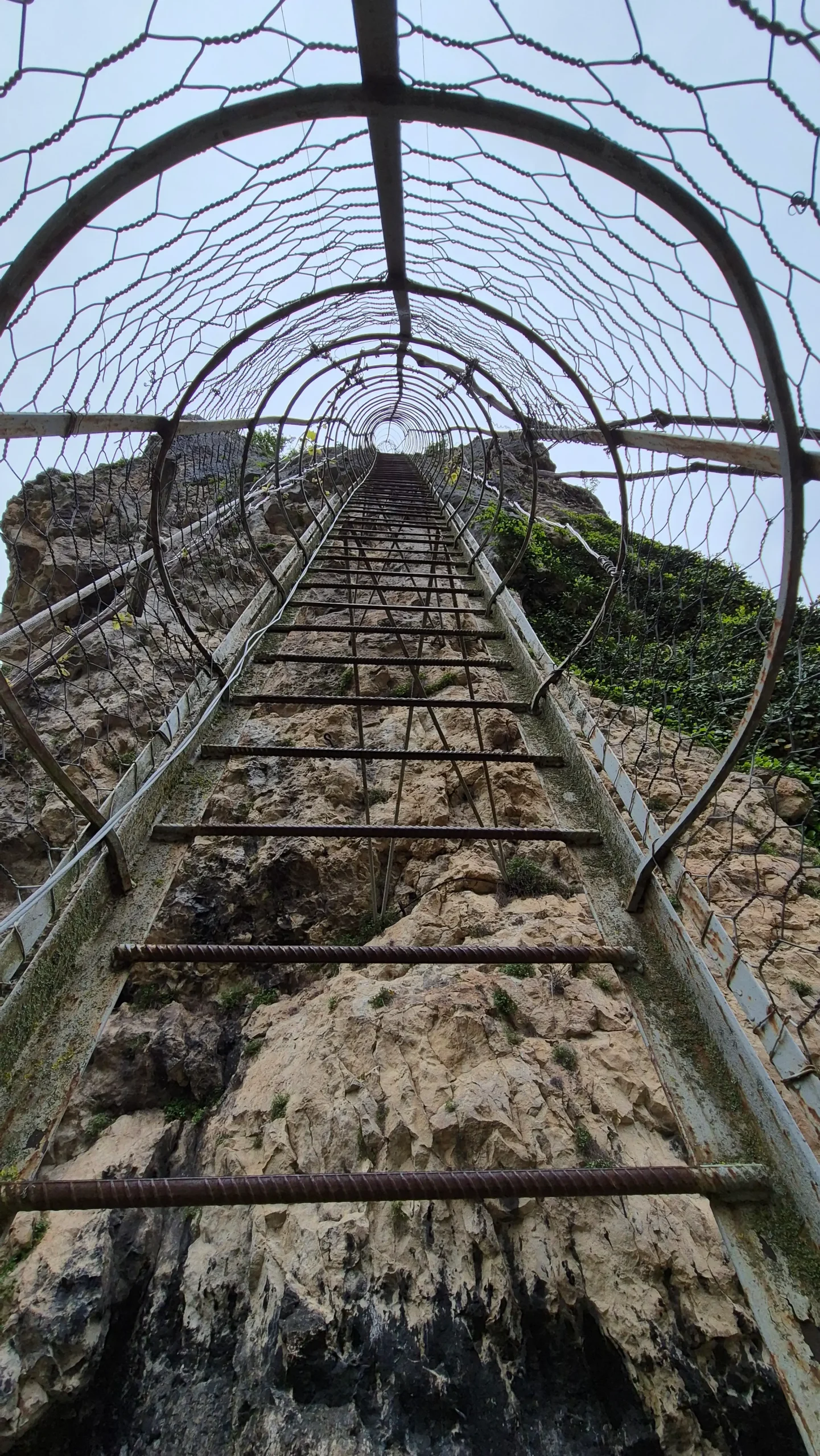 Katskhi's staircase a view up a rickety metal staircase stuck to the side of the vertical cliff of Katskhi Pillar, Georgia