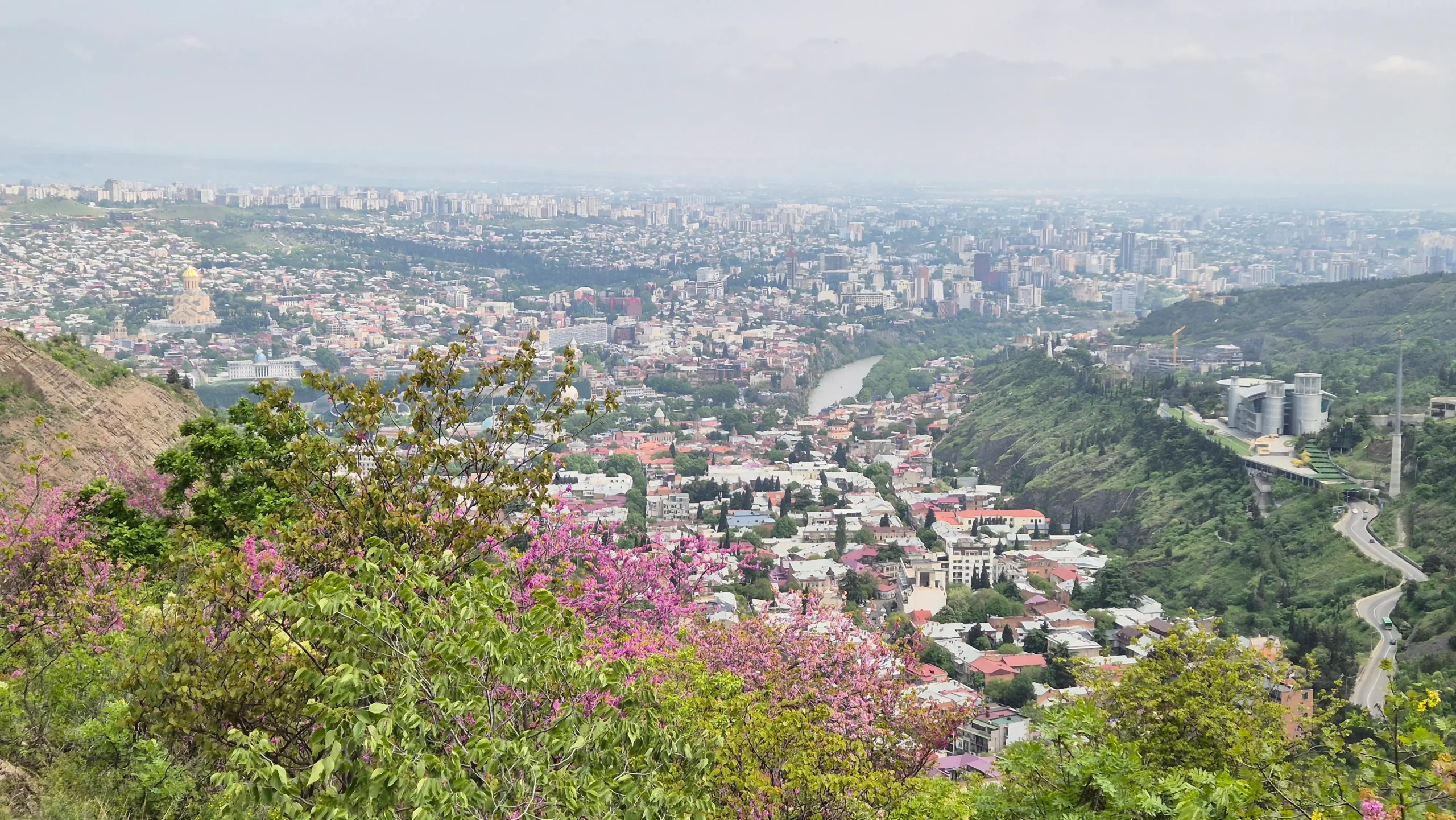 Spring Tbilisi Views a view over Tbilisi city shows green plants and pink blossoms