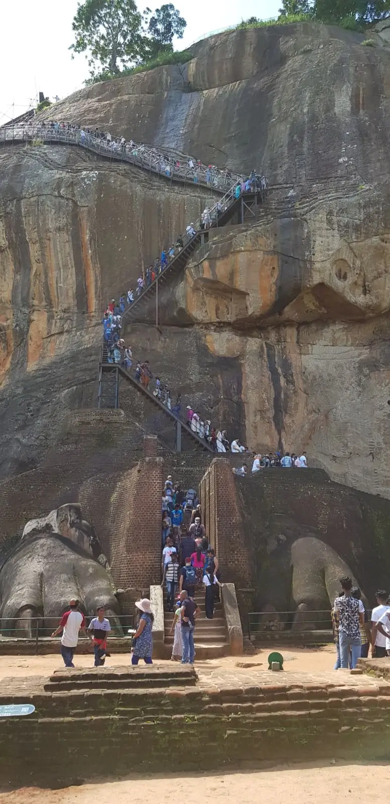 a staircase begins between two stone lion's feet and quickly turns into a metal staircase pinned to the side of a rockface. There is a constant queue of people climbing Sigiriya Rock in Sri Lanka