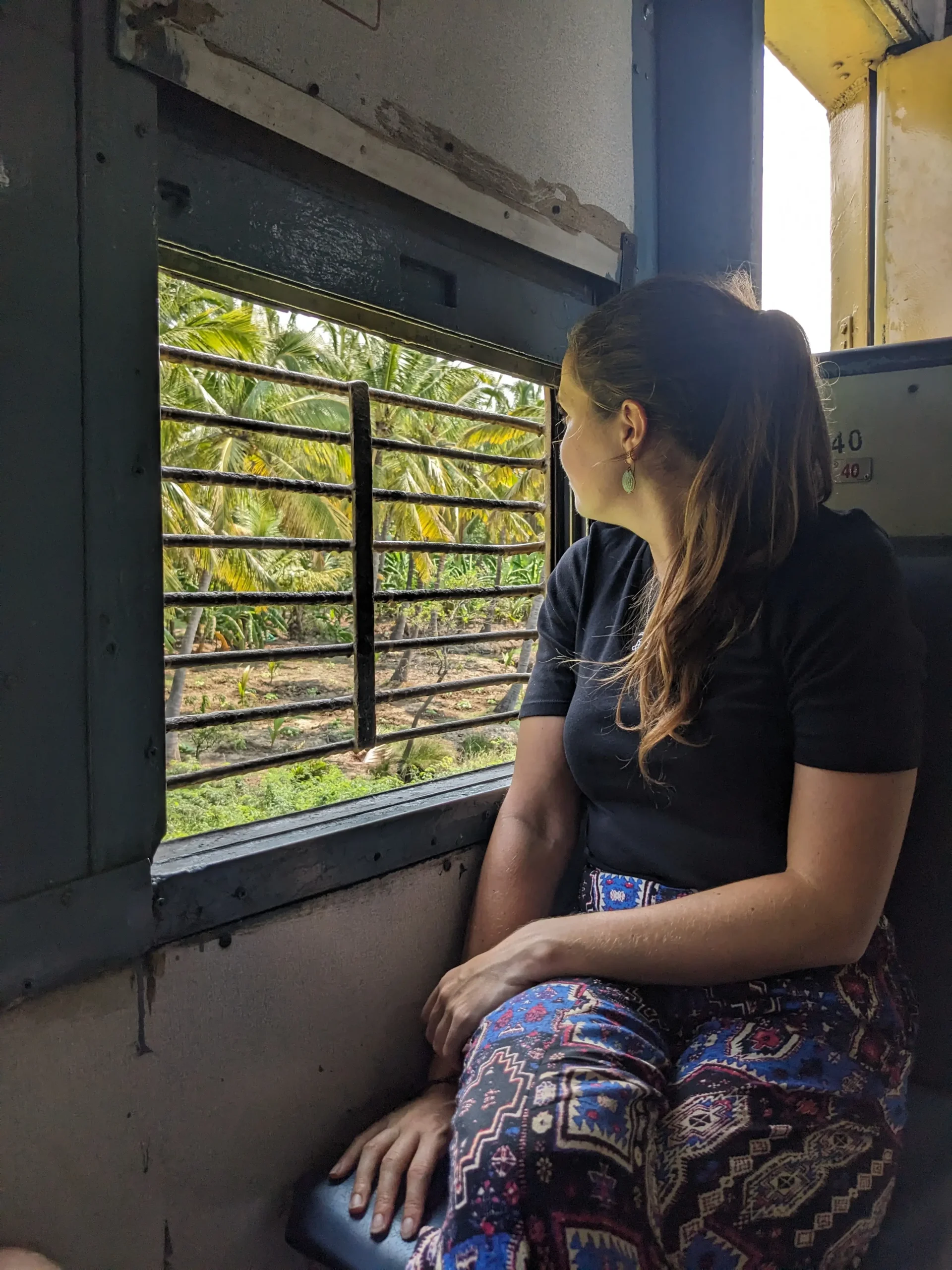 a woman is sat on an Indian train looking out the window at palm trees in South India
