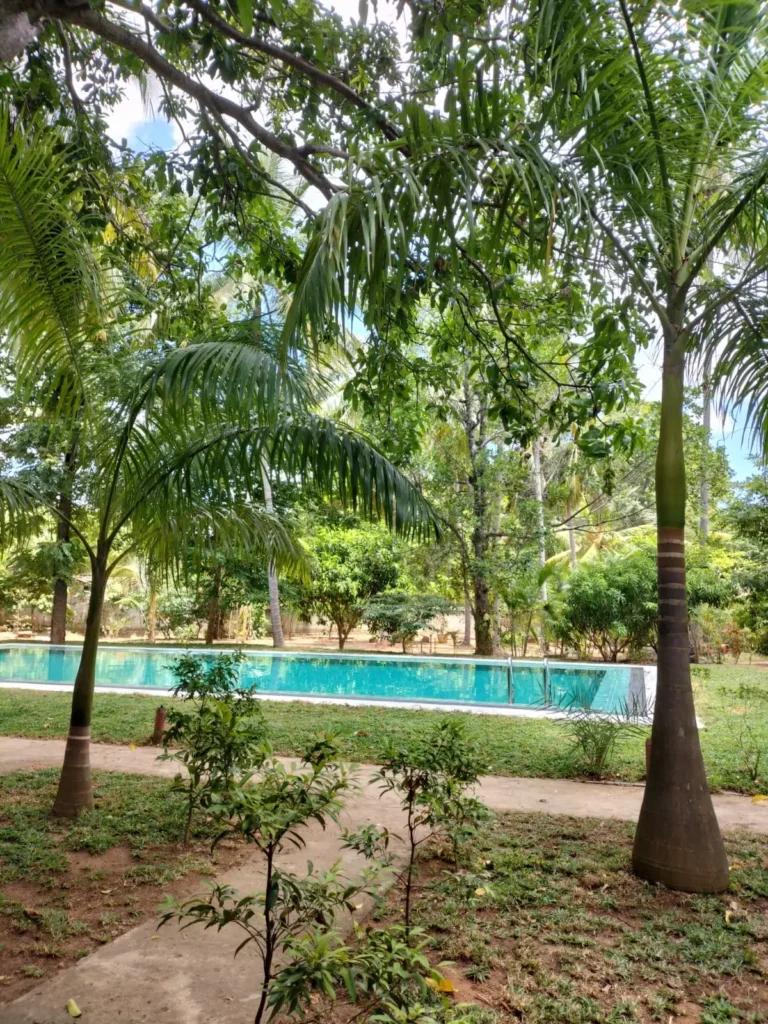 a swimming pool surrounded by palm trees at La Dolce Vita, Sigiriya