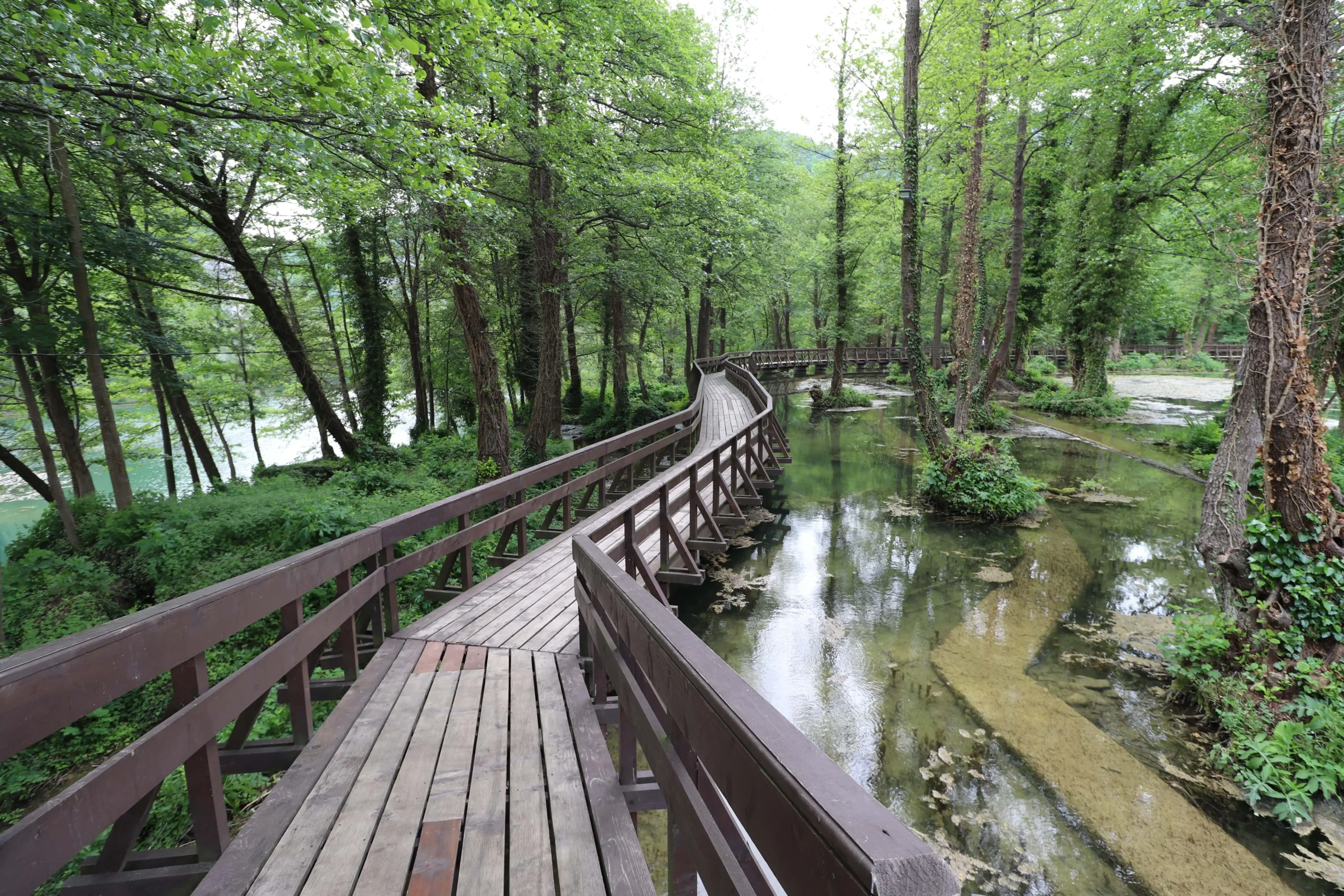 Bridge Of Love scaled