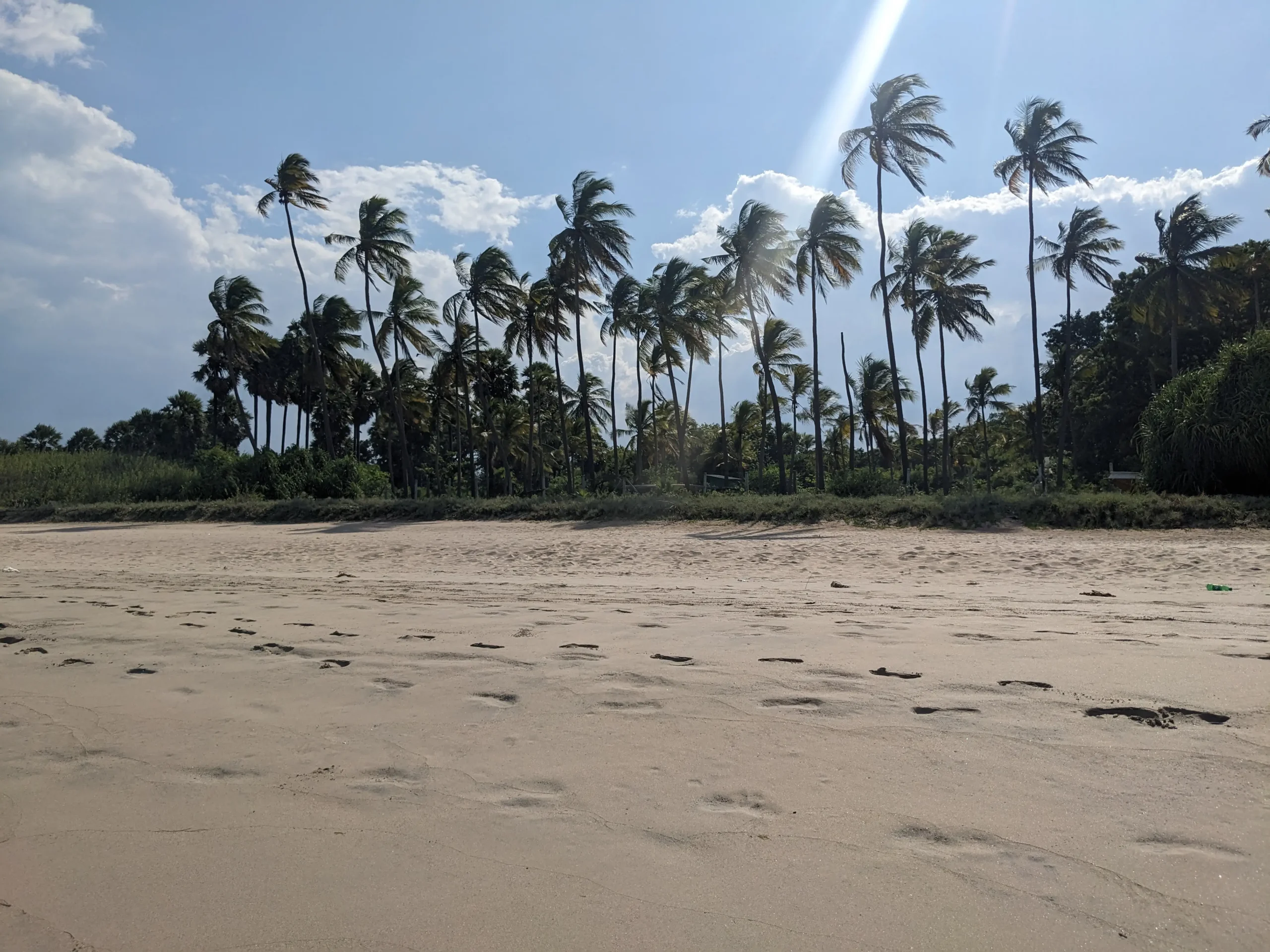 Nilaveli Beach Sri Lanka golden sand beach lined with palm trees - Nilaveli, Sri Lanka