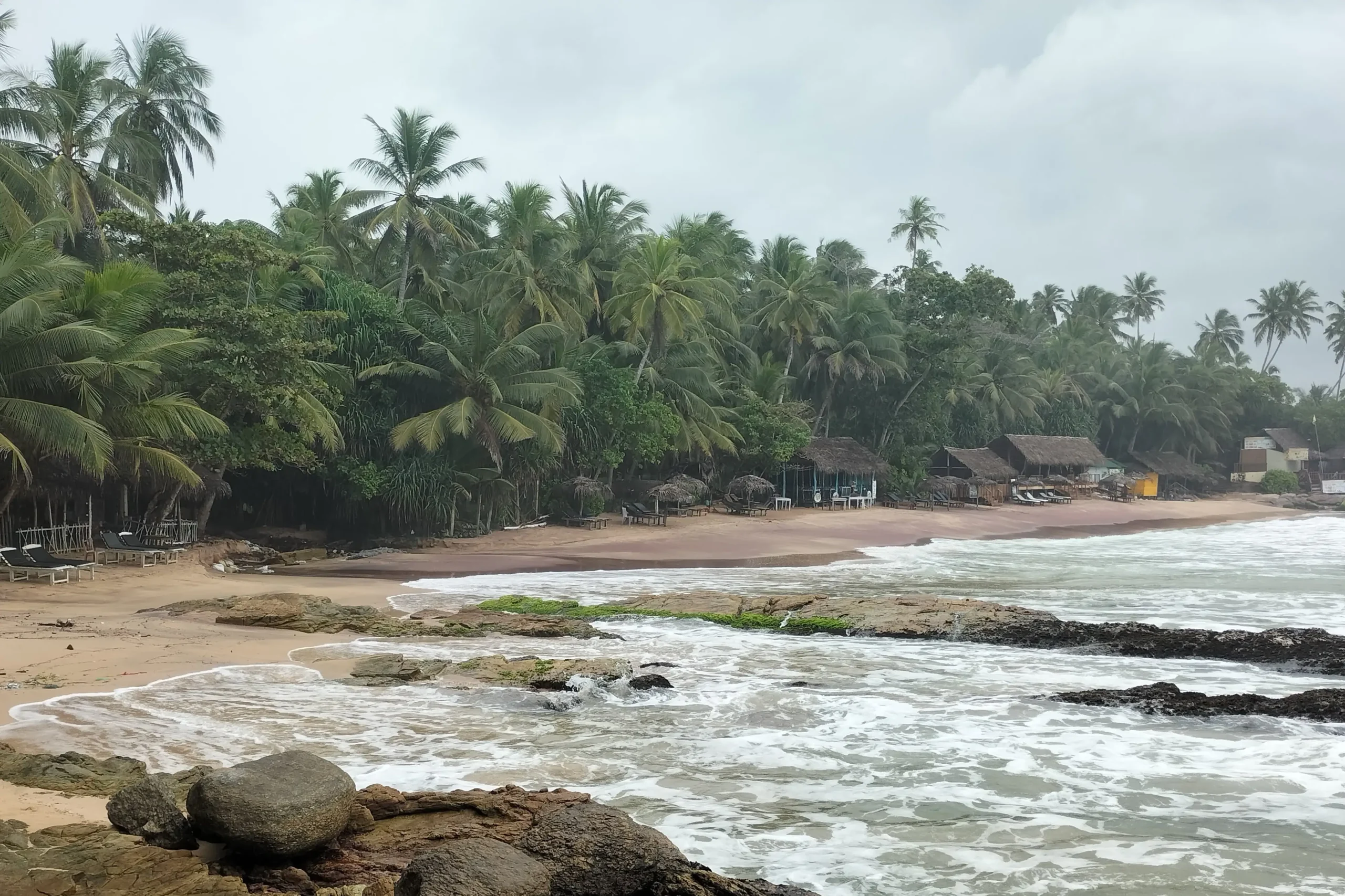 Sri Lanka Travel Guide 8 a beach in Sri Lanka is lined with palm trees
