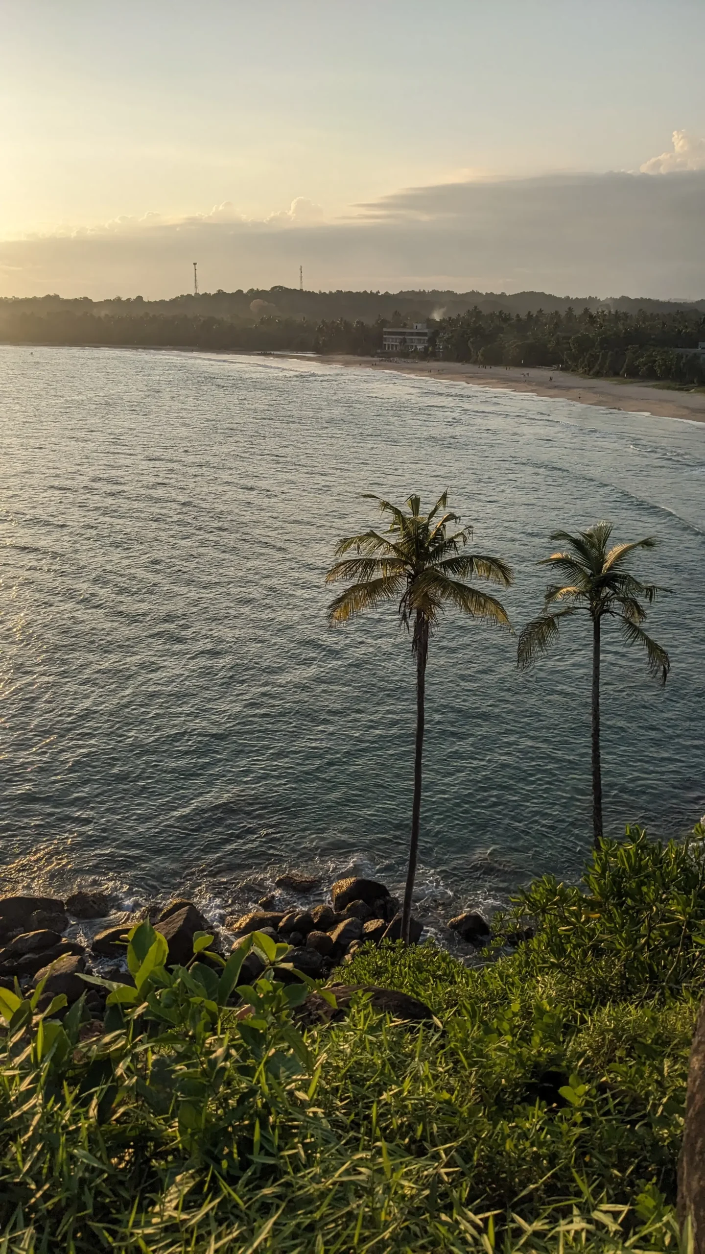 Talalla Beach two palm trees stand tall in the foreground while the sea and beach at Talalla at sunset are in the background