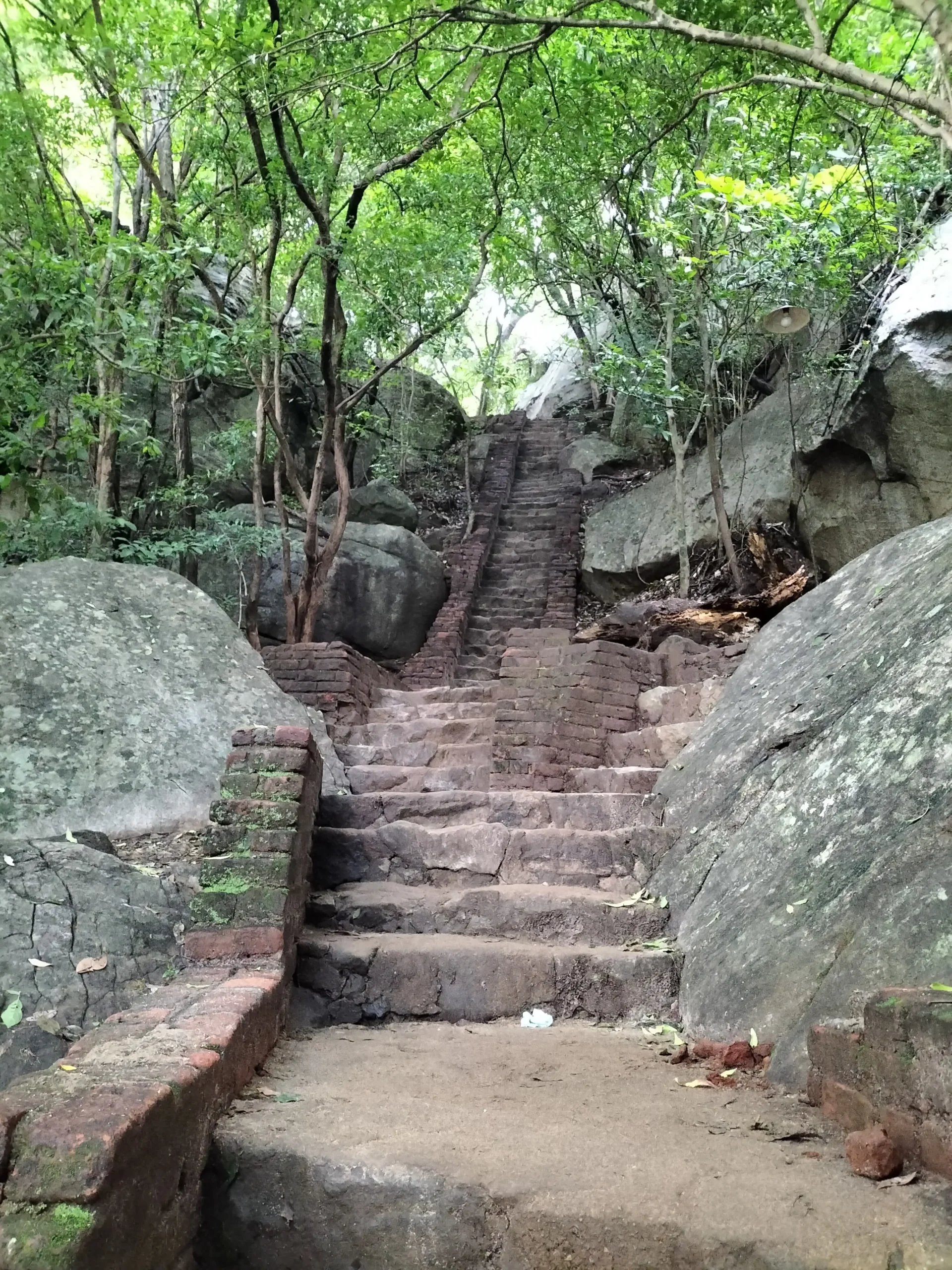 a brick path of steps leads up through the jungle in Sigiriya to Pidurangala Rock, Sri Lanka