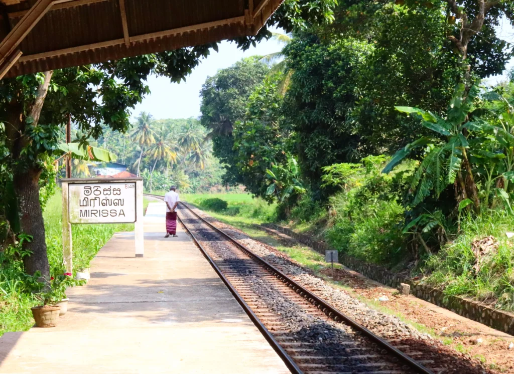 How to Get Around Sri Lanka: Buses, Trains & Tuk Tuks