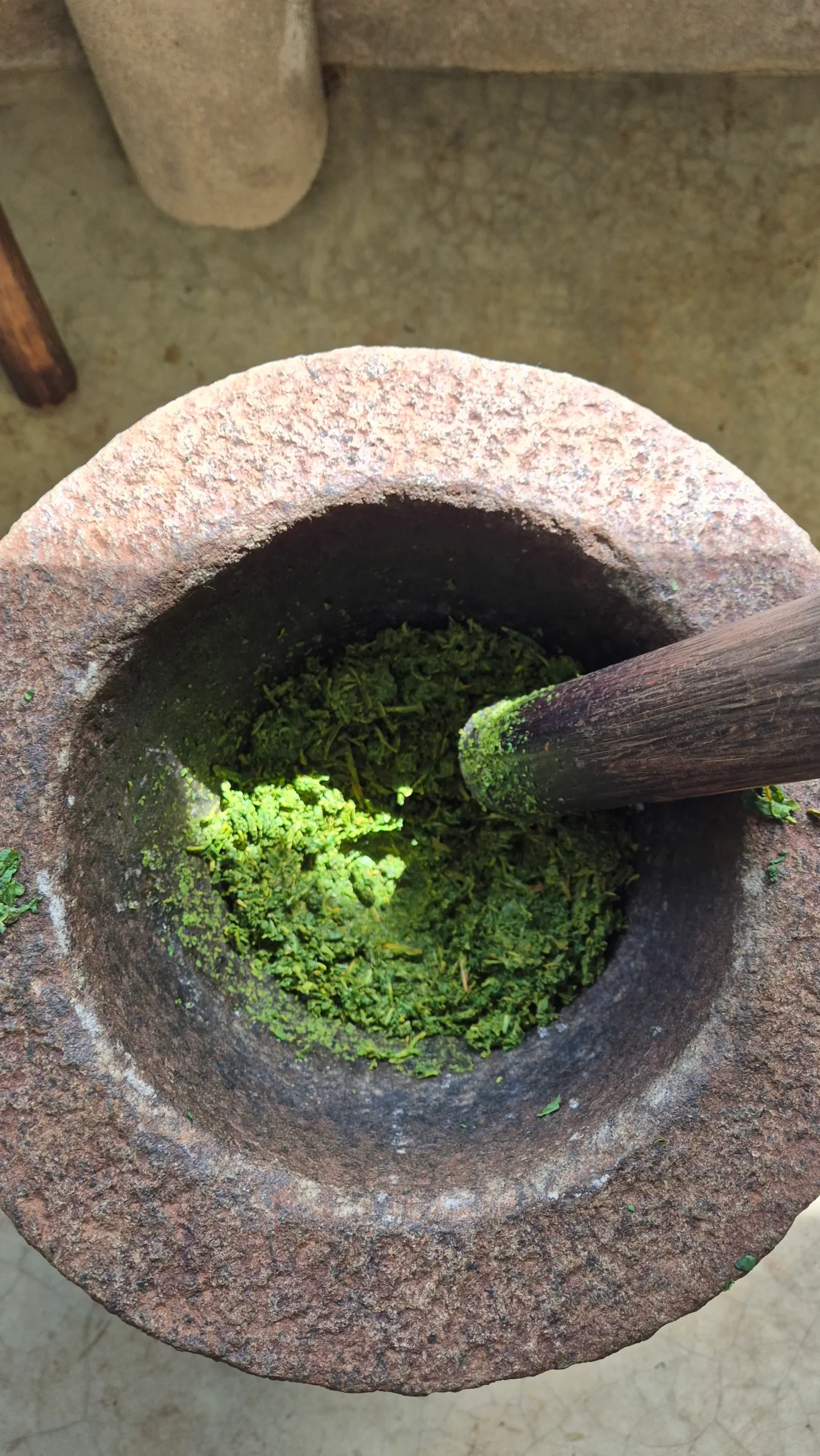 pounded tea leaves inside a large mortar shows bright green mulch of pounded tea leaves