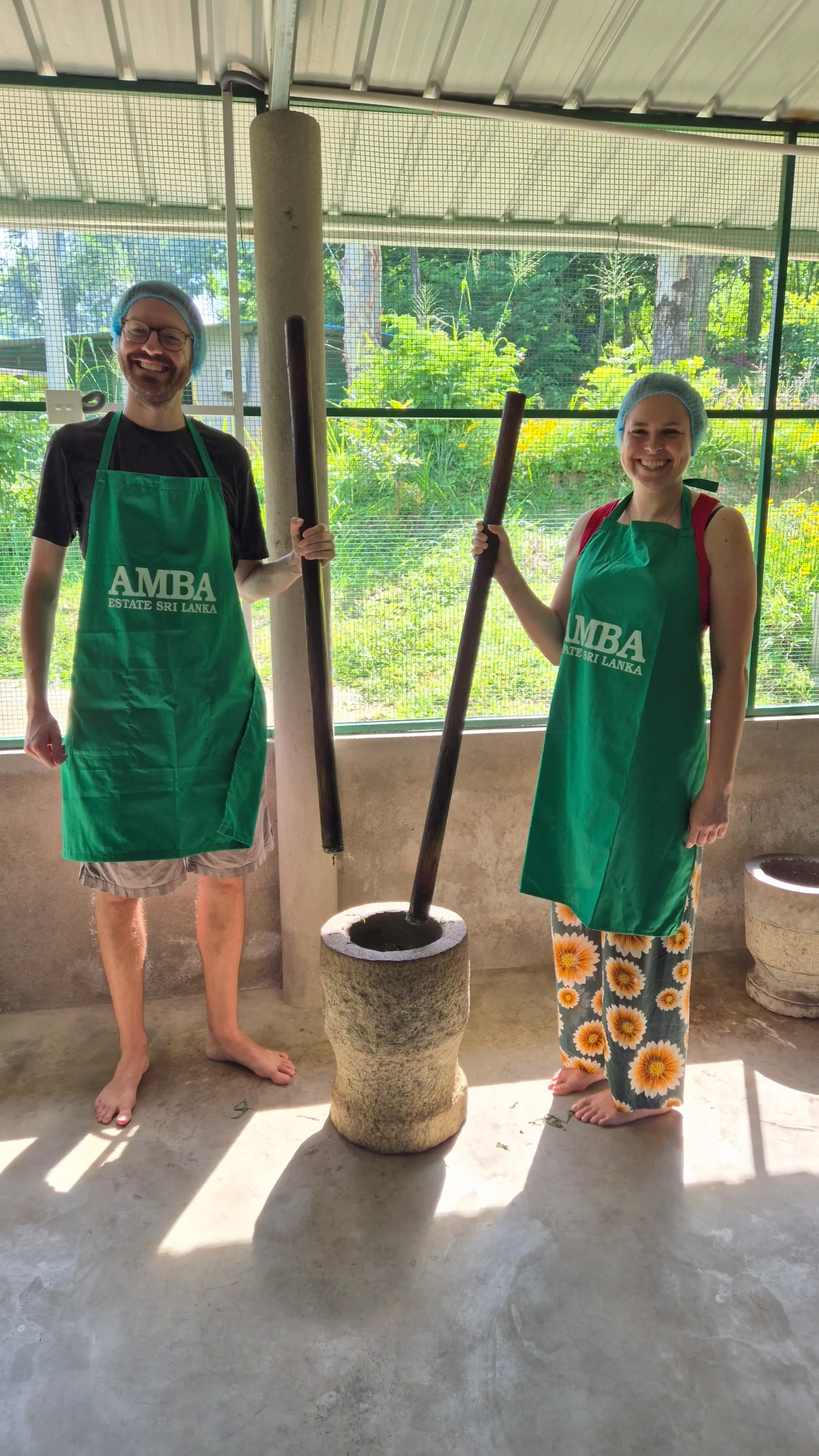 pounding the tea leaves two people hold large wooden poles/pestles over a large stone mortar to pound tea leaves