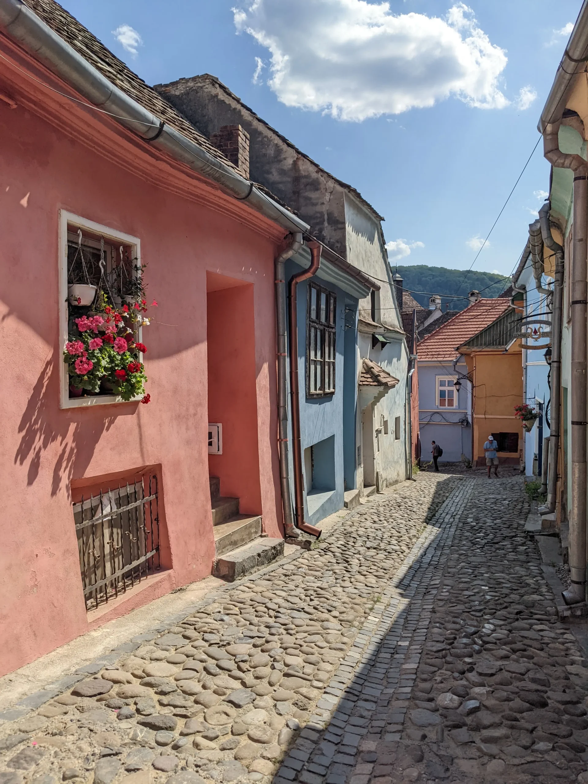 a cobbled street is lined with colourful medieval buildings in SIghisoara, Romania