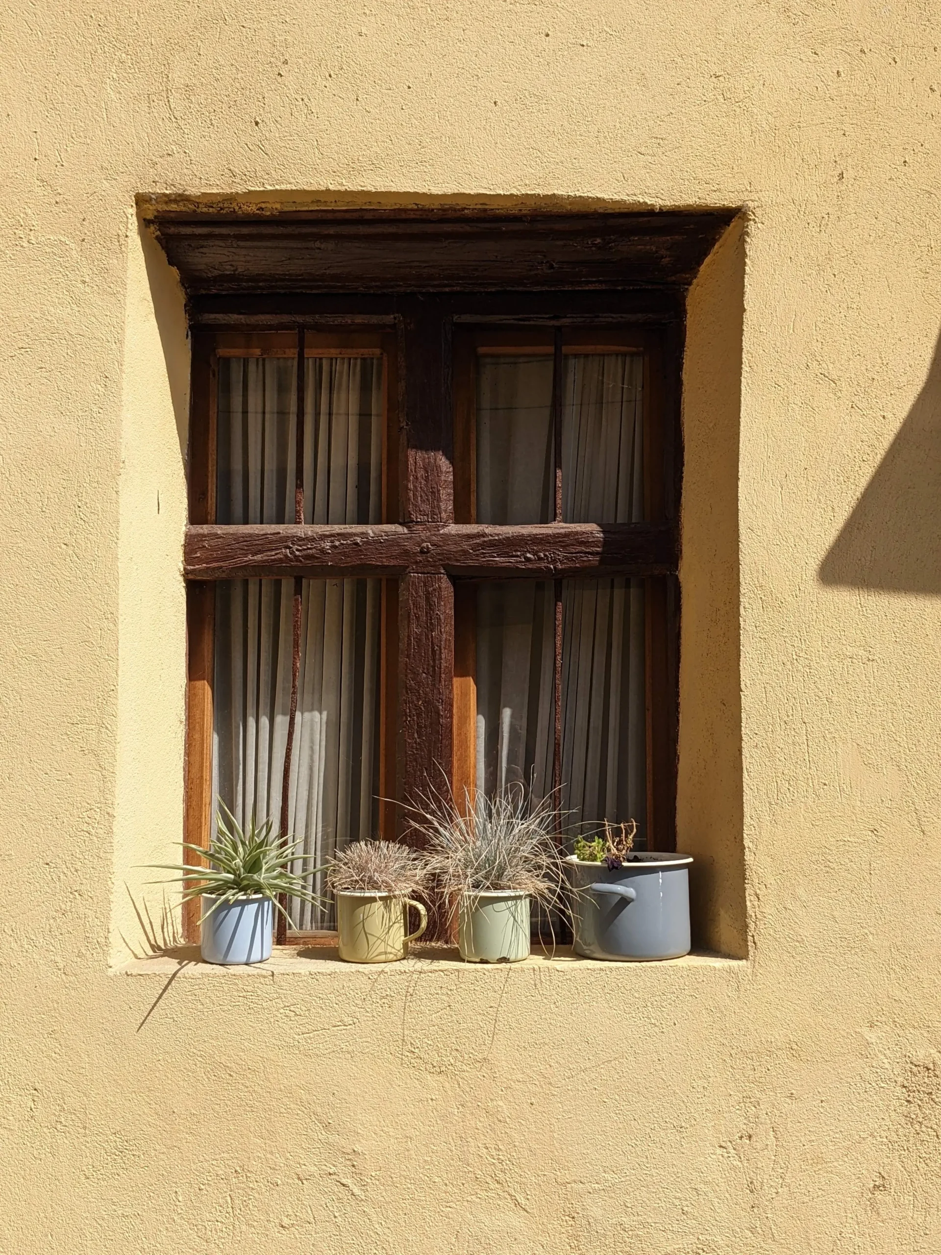 a yellow wall has a dark wooden frame and cross through the centre, plus four small pastel coloured plant pots sat on the window sill in Sighisoara, Romania