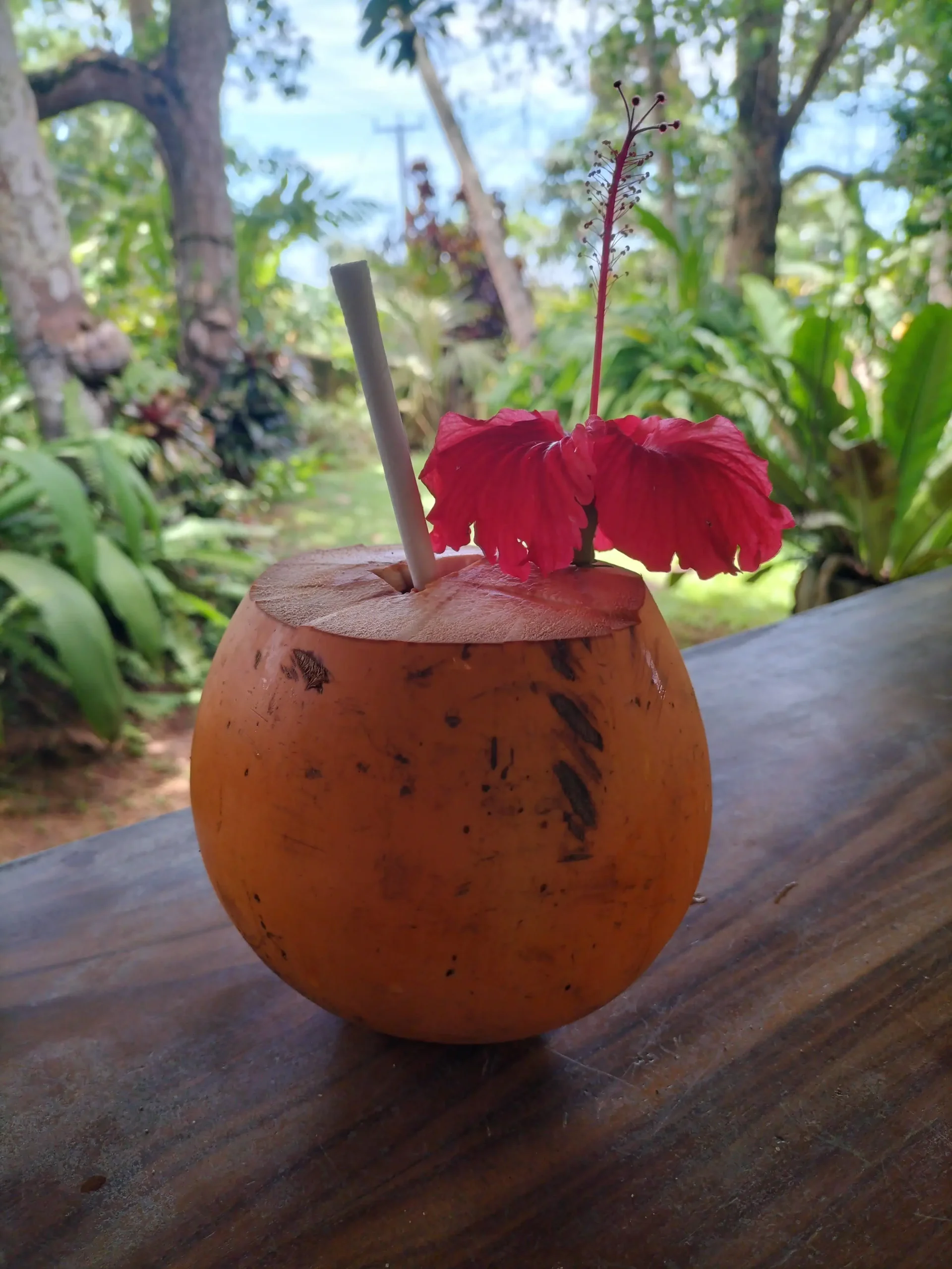 King Coconut, Sri Lanka a fresh Sri Lankan king coconut is bright yellow/orange and has a paper straw and red flower