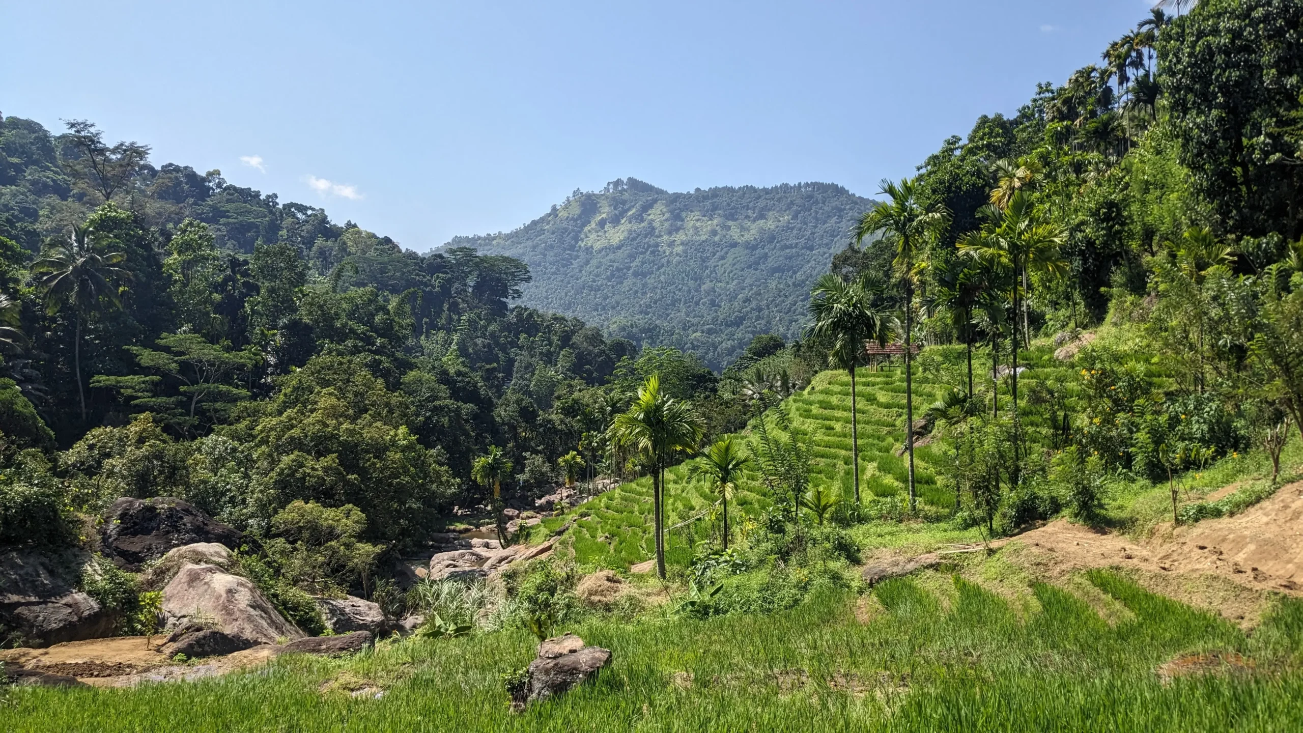 18 Things to Do in Sri Lanka for Foodies & Adventurers